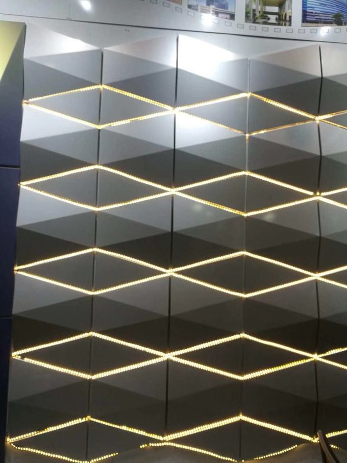 3D panneaux de mur composés en métal de la forme ACP pour la taille extérieure de décoration 500 * 250mm