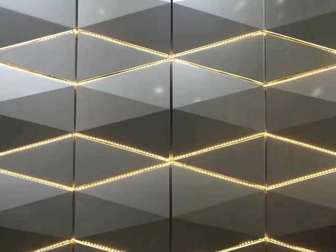 3D panneaux de mur composés en métal de la forme ACP pour la taille extérieure de décoration 500 * 250mm